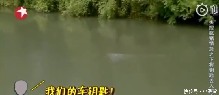 严敏导演 网友们怀念严敏导演:那时车钥匙都可以扔河里,更别说黄磊开箱子