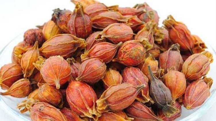 茜草科|女人常吃一物,炎症没了,卵巢也越来越健康,想呵护子宫不妨试试