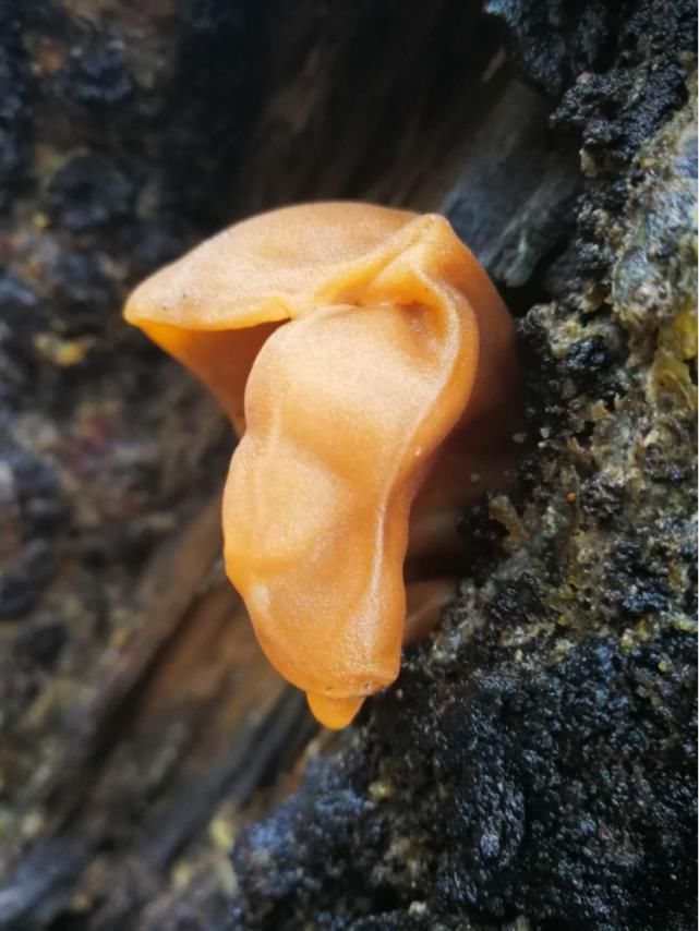 海量美图来袭！走进干河坝感受不一样的玉龙雪山