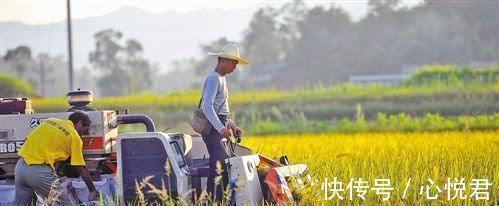 复读|被211录取，但不是自己喜欢的专业，哭着要复读，连父母也支持