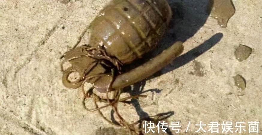 钓友|有人说“黑漂正口中死鱼，劝你收竿别犹豫”，到底是怎么回事？