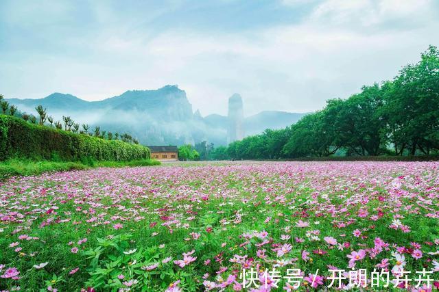 二手房|二手房降温！未来5年，在浙江买房的人会后悔吗