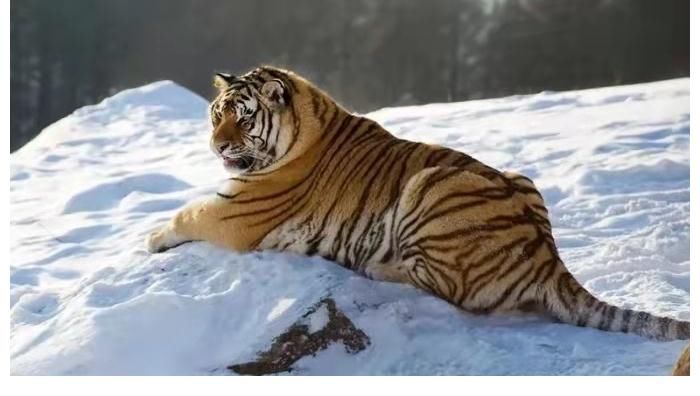 佩戴黄财神有什么忌讳