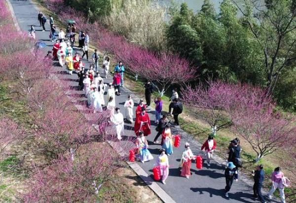 中年|跨越千年 杭州西溪湿地“梅”景再迎“宋高宗”