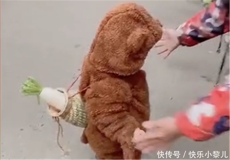 熊孩子|“熊孩子”获菜场大妈喜爱,送了一个大萝卜,抱起来笑得合不拢嘴