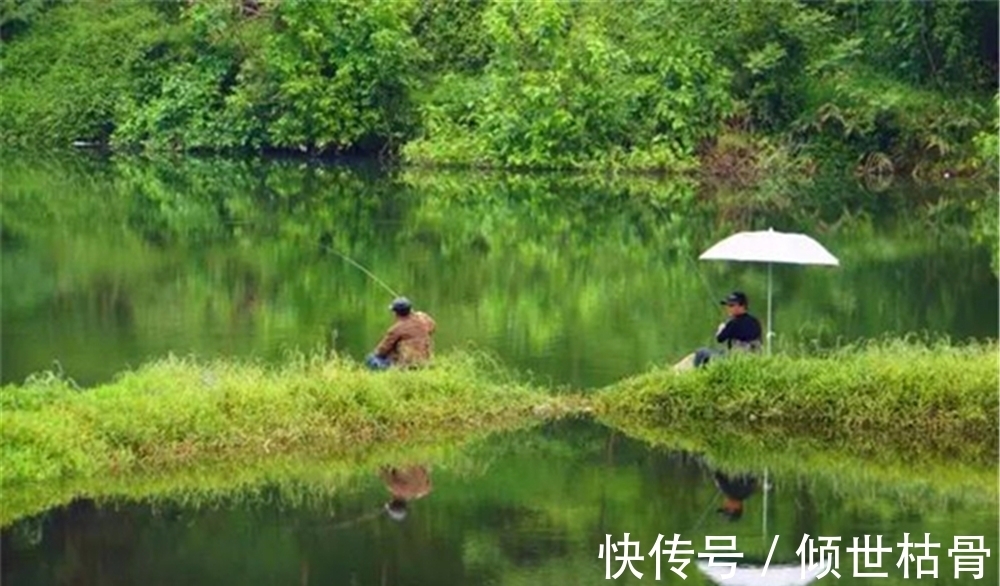 水面|野钓选钓位最好找鱼道，这些地形是鱼道，选对位置不愁钓不到鱼