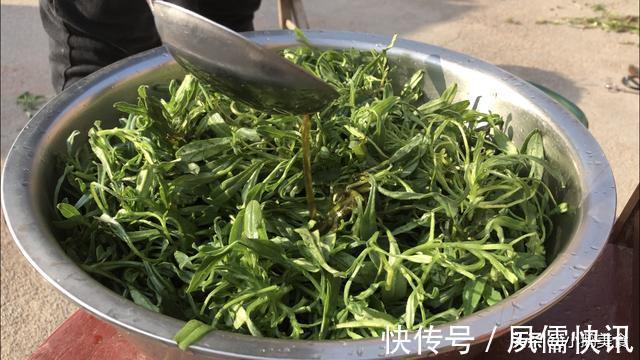 河南|河南蒸菜,这20种菜蒸熟超好吃,5分钟出锅,简单营养不上火