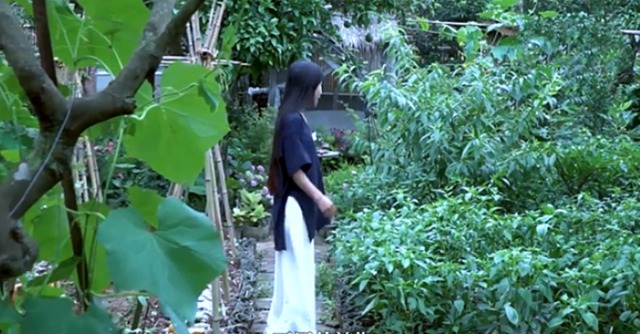 曬曬李子柒住的豪宅,四周全是農(nóng)田植物,生活在這里仿佛世外桃源