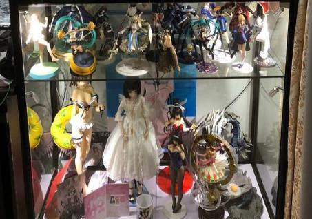 手办|二次元宅女小姐姐,两年时间居然收集了一柜子手办,声称仅仅只花了300元