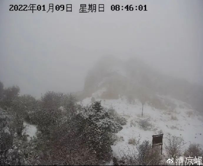 下雪|下雪了！