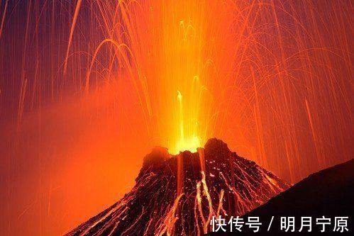 19个你不知道的冷知识,你可能一个也不知道,熊猫竟比老鼠还小