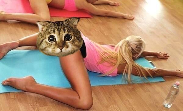 私教课|这个比耗青蛙趴更靠谱高效的下横叉方法,只有私教课才会教你