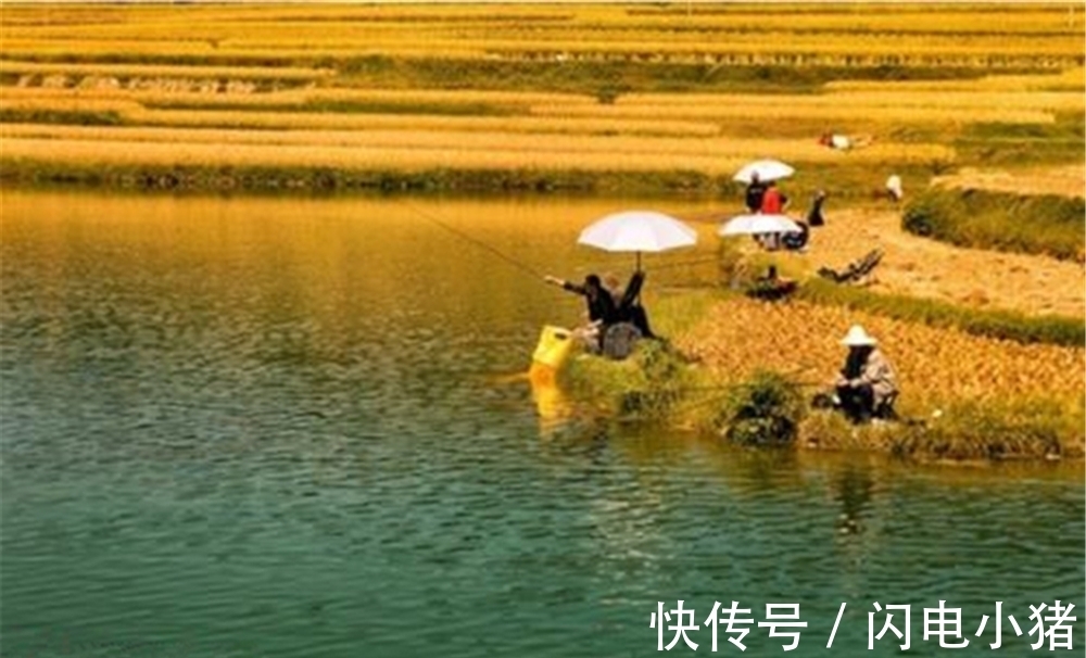 钓渊|秋季钓鱼,有钓渊、钓阴、钓边几种说法,这钓位到底应该怎么选?
