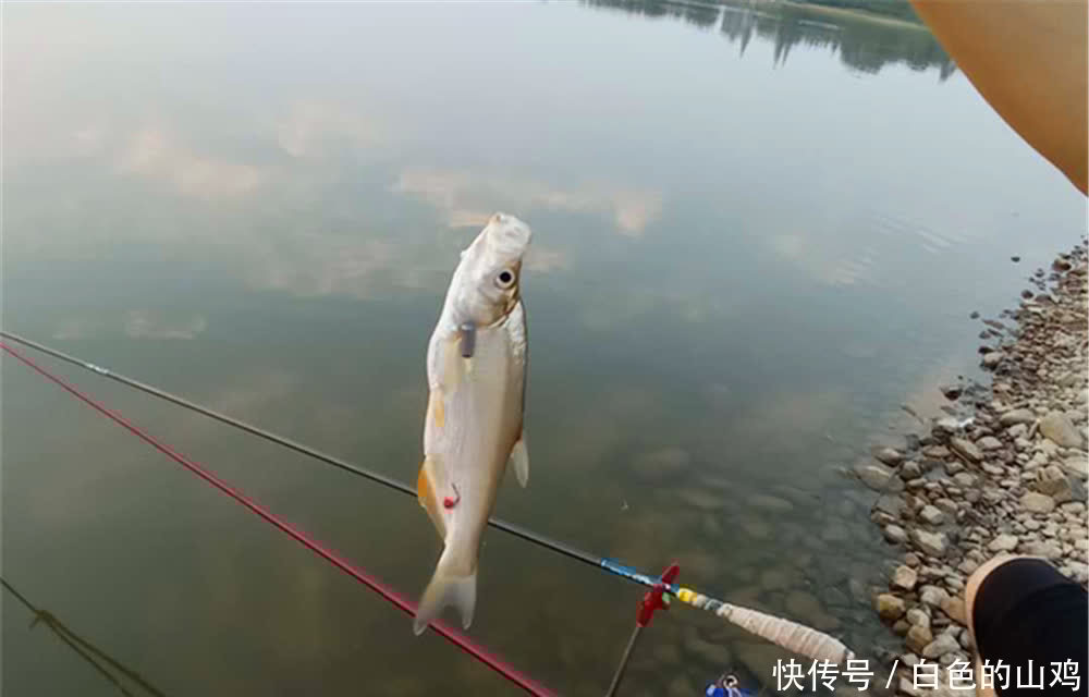 晚春手竿钓翘嘴,除了飞铅钓效果好,还有民间这些“土方法”