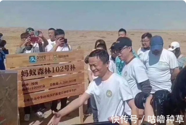 降雨量|被质疑造假？马云花巨资绿化沙漠，2016对比2021，真实数据打脸！