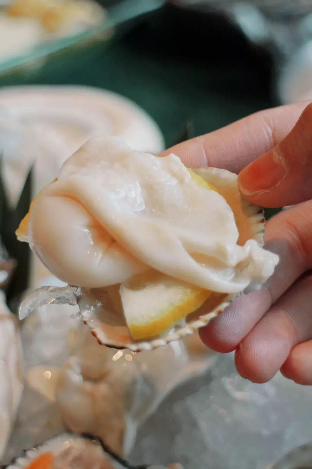 空降|空降的「泰式海鲜火锅」,—秒穿越到泰国