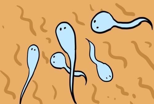 精子|爸爸从事的工作,可能会影响宝宝的性别,这几类职业更容易生女儿