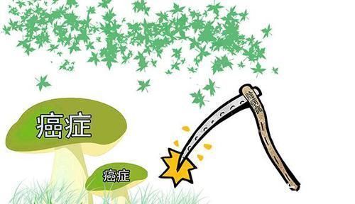 癌癥患者|為什么不少癌癥患者，不愿意接受化療？化療期間，如何飲食？