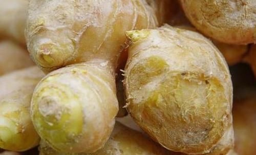 保存生姜别再放冰箱了，姜农分享3个小妙招，久放不干瘪不发芽