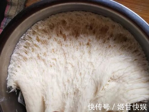 面粉|馒头店的馒头又大又白，加了啥东西做好4点，暄软筋道，你也行