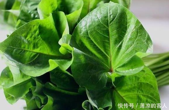 红薯叶|人到中年想长寿,学会多吃3类食物,美容养颜、增强体质