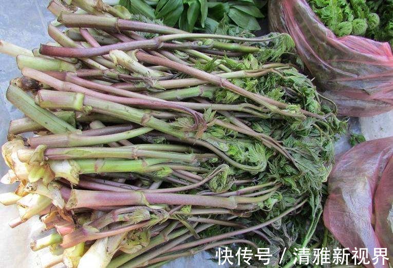 炒菜|饭桌上不常见的野菜,吃过的人是少数,农村人才认识!