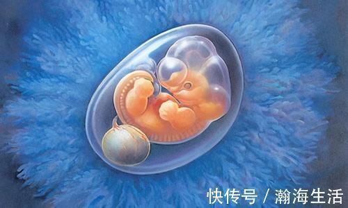 男宝|为何B超照出是女儿而最后生的却是儿子呢?造成翻盘的原因有这些