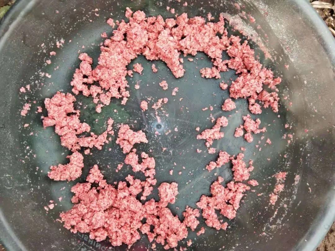 拉饵不好拉的原因到底是什么?来看看你败在哪一步!