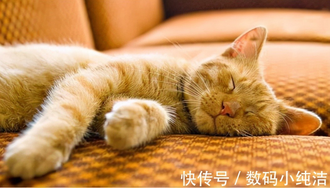 g有助于睡眠的产品有哪些?这些助眠好物能让你摆脱失眠