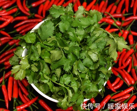麻疹|爱食香菜的注意，香菜好处多，医生说别跟它同食，现在知道不晚