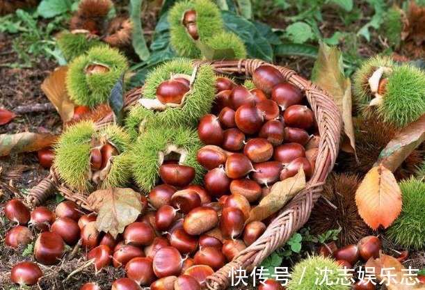 补血养气|人到中年要长寿,坚持多吃3种食物,补血养气、延缓衰老