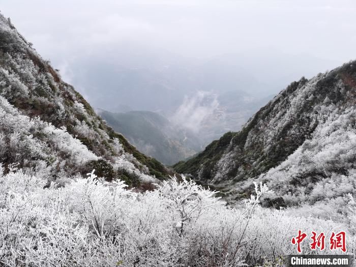 福安|福建宁德世界地质公园现雾凇冰挂 银装素裹引游人