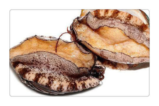 补肾益精|天然的“男性荷尔蒙”,每天吃一点,补肾益精,让你更有男人味