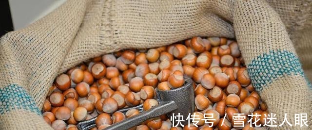 美国临床营养杂志|谁说吃坚果相当于喝油?吃对了还能减肥呢!那该怎么选择坚果呢