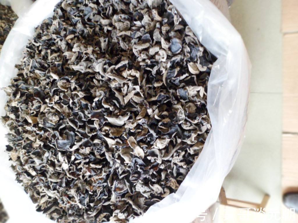 木耳|木耳和它是天生的“死对头”，不能一起食用，早知早受益