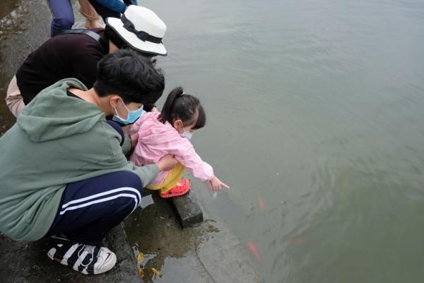 中年|这个年夜饭吃粽子的国家,居然还有人属猫?