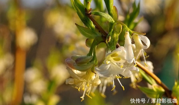 晚上是养肝好时候，晚餐若常吃这3种食物，肝脏会感谢你