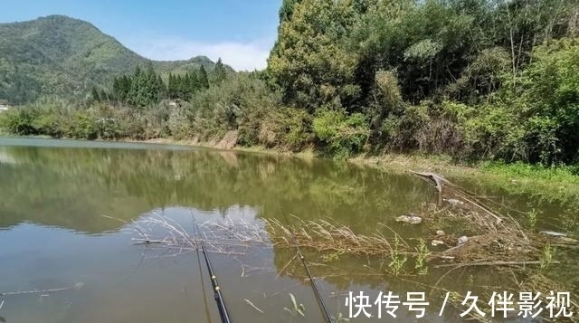 分享一种奇葩的做窝方式,成本低效果好,就是有点累人!