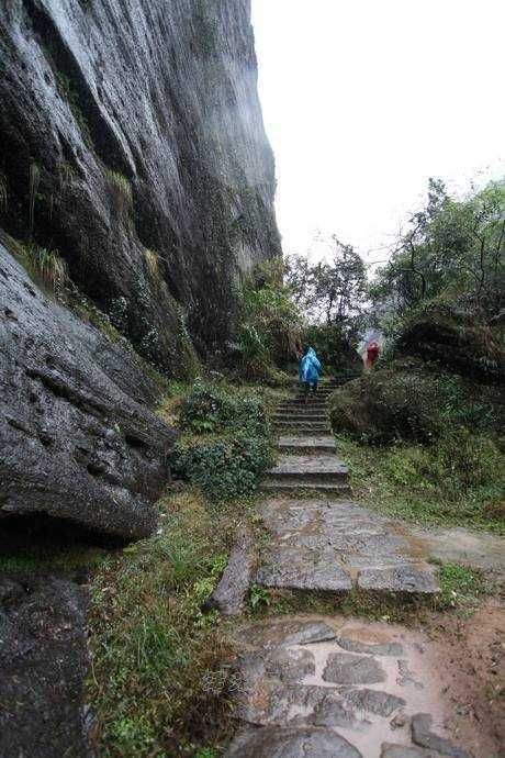 大王峰|青未了｜散文《山水问答》