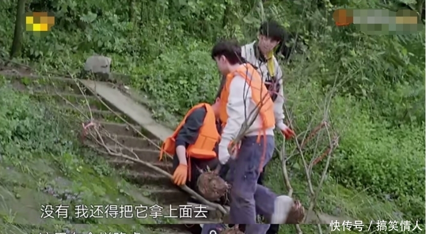 何炅 《向往》李诞陈赫抱怨干活累,何炅反驳:张子枫都搬得动