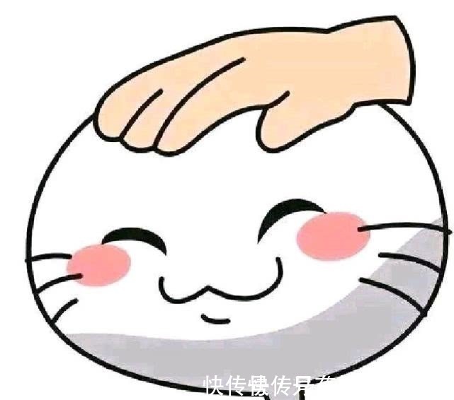 小樱|为你揭晓为什么《火影忍者》里佐助从没有跟雏田说过一句话