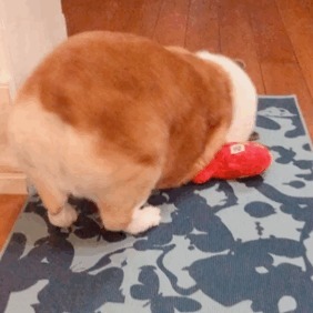 |搞笑表情包更新:再坚持坚持,一辈子很快就过去了