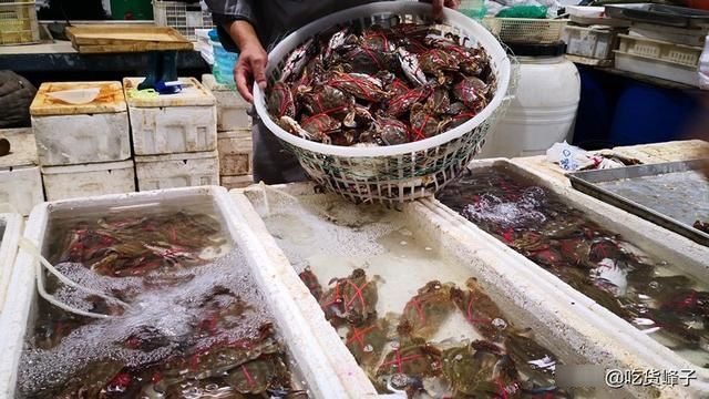 梭子蟹|立秋后，如果不差钱，记得吃这5种海鲜，鲜美营养高，错过了可惜