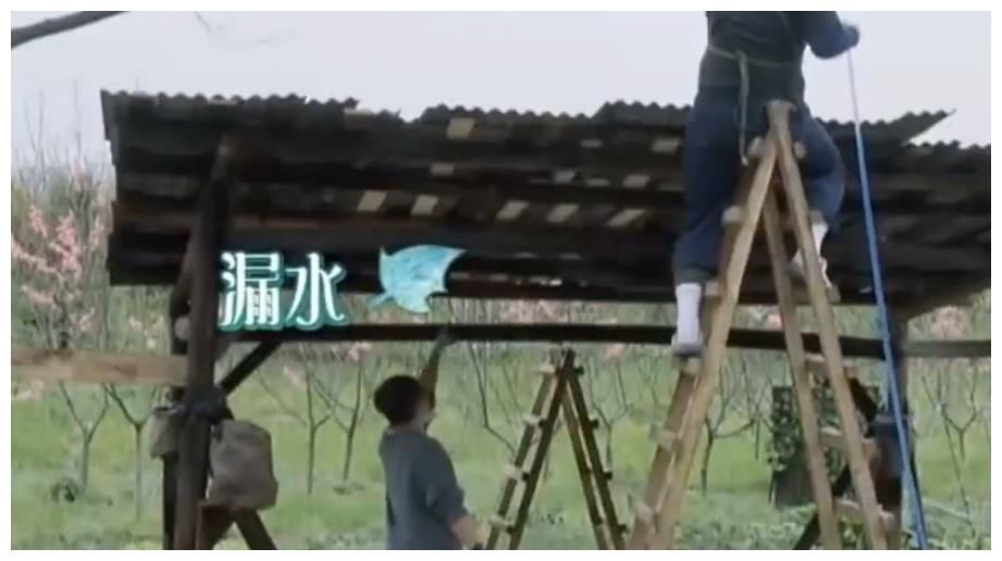 杨紫做客向往的生活,与张艺兴下地干农活,二人眼神很抢戏