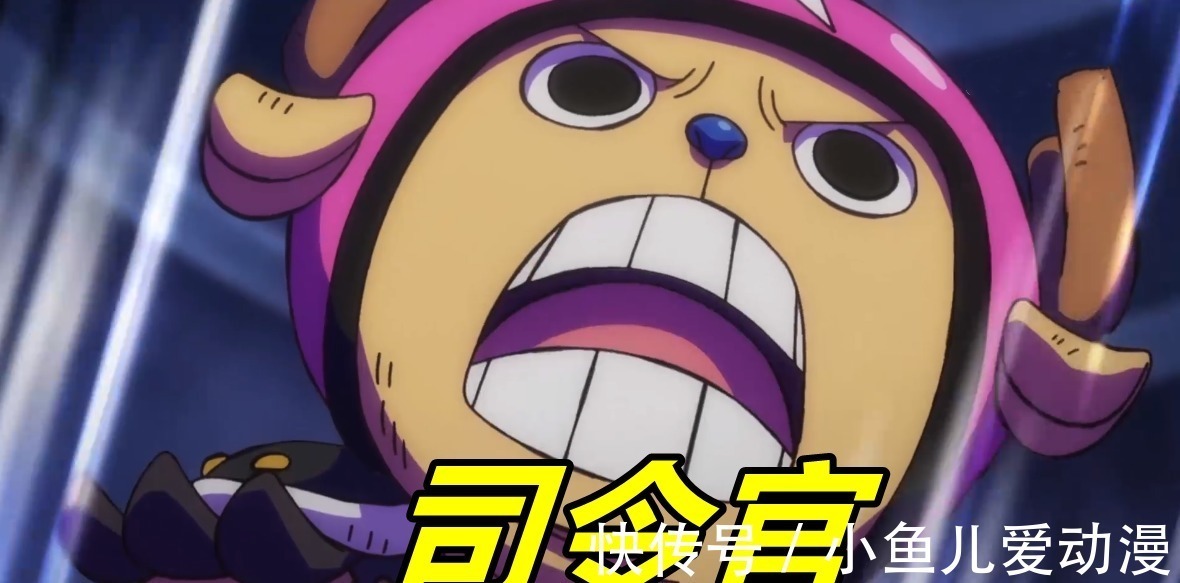 四皇|海贼王:43亿大妈被“打脸”,乔巴迎战四皇,100悬赏金最牛之人