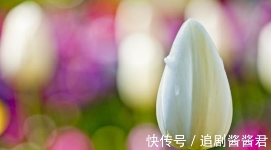 金牛|从7月20日开始，不舍旧情，双手紧握，依偎在侧，甜蜜相伴