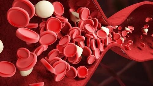 血管|87老人高血脂34年，血管通透，血脂平稳，或因为这5件事做得好