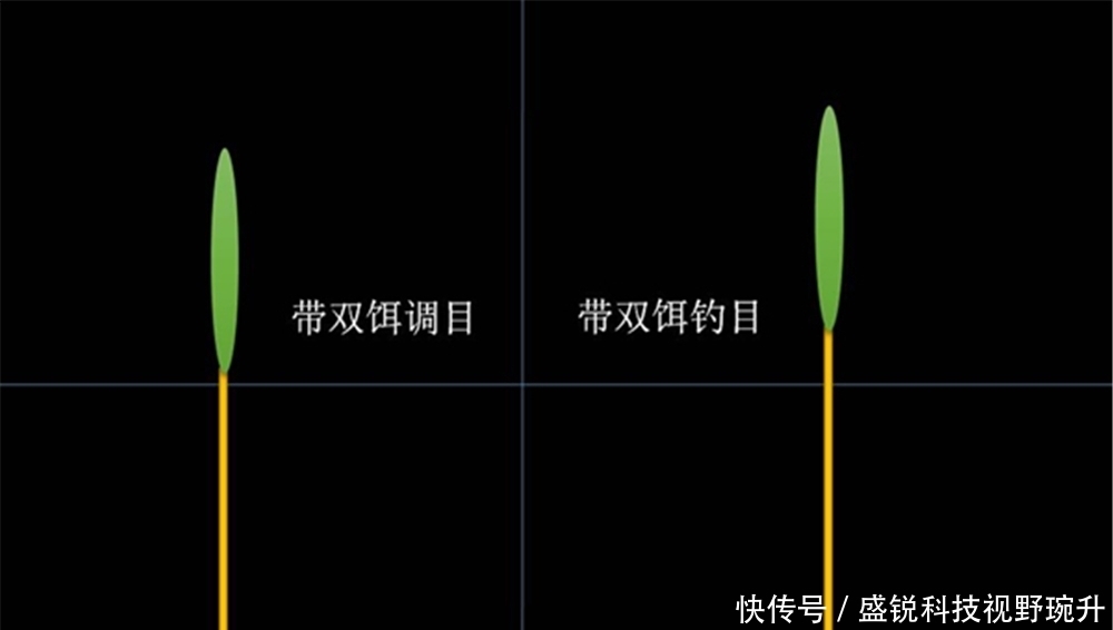 夜钓用光攻略：夜钓灯、夜光棒、电子浮漂，哪种方式最适合钓大鱼