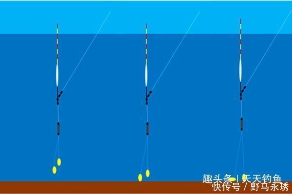 调漂|带饵调漂的优势，这种调漂方法公认最科学，肯定是有道理的