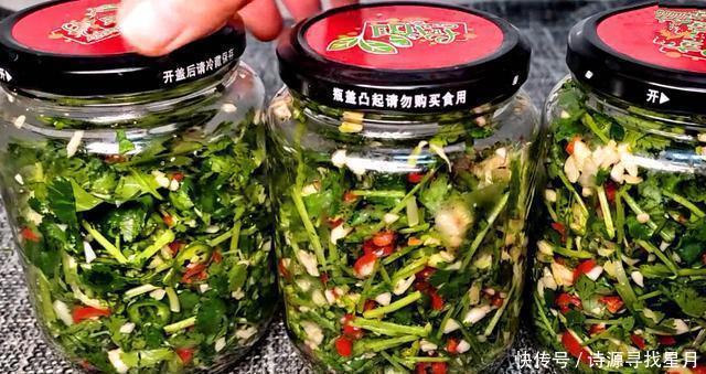 入味|香菜这么做,一周必做2次,咸香入味,不用腌直接就能吃,超下饭